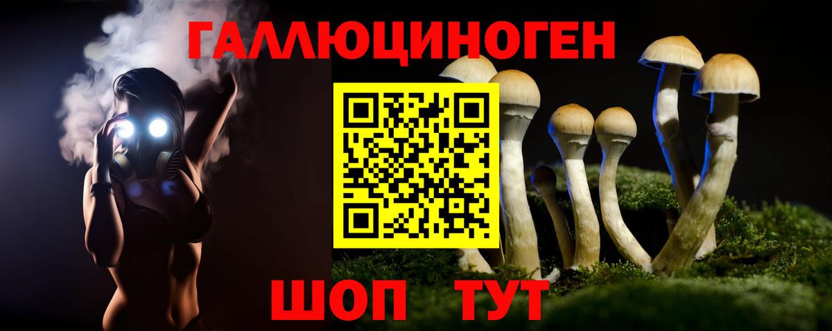 Славянск-на-Кубани  Галлюциногенные грибы Psilocybe  Вход с VPN  Псилоцибиновые грибы прущие грибы 